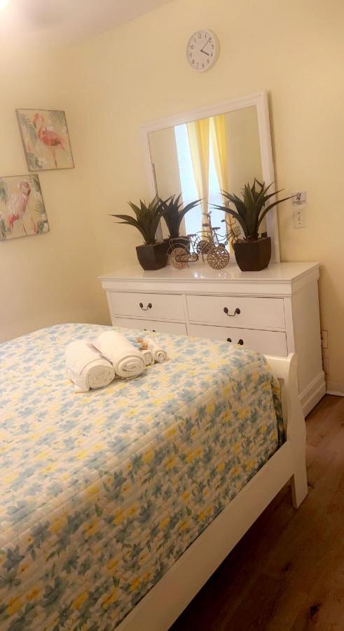 Caribbean Splendor Vacation Rental Near Bush Gardens Tampa Fl Экстерьер фото